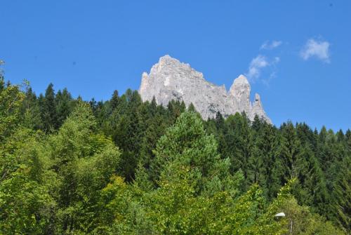 DSC 0204
