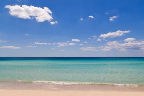 mare